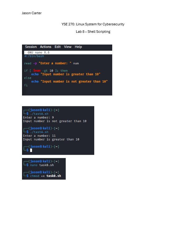 Preview of Shell scripting (Assignment 8), PDF
